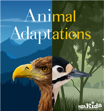 Animal Adaptations (e-book)